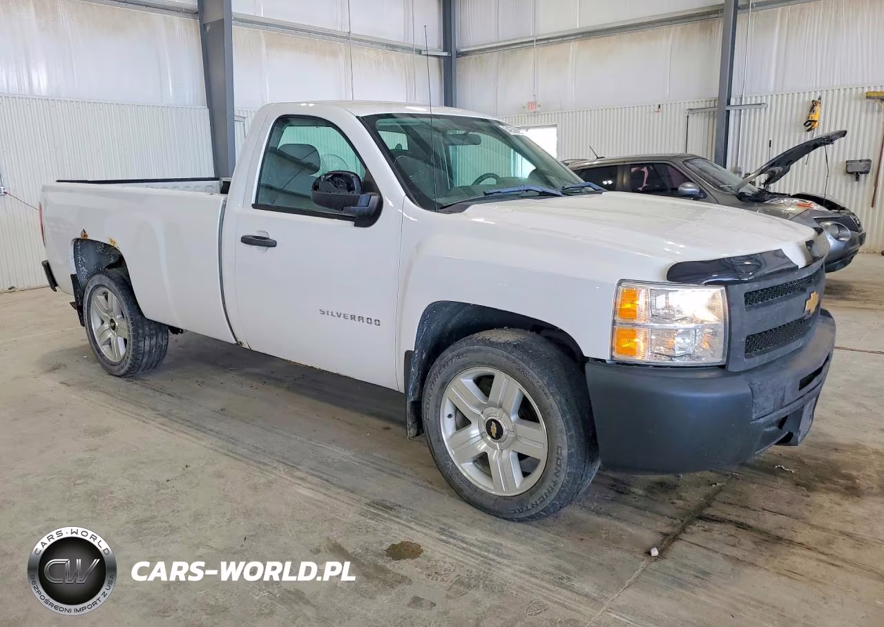 2013 Chevrolet Silverado C1500 VIN:1GCNCPEX2DZ402213 - 4