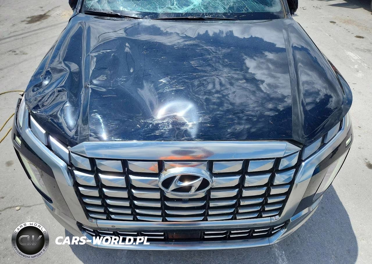 2024 Hyundai Palisade Calligraphy VIN:KM8R7DGE0RU695528 - 12
