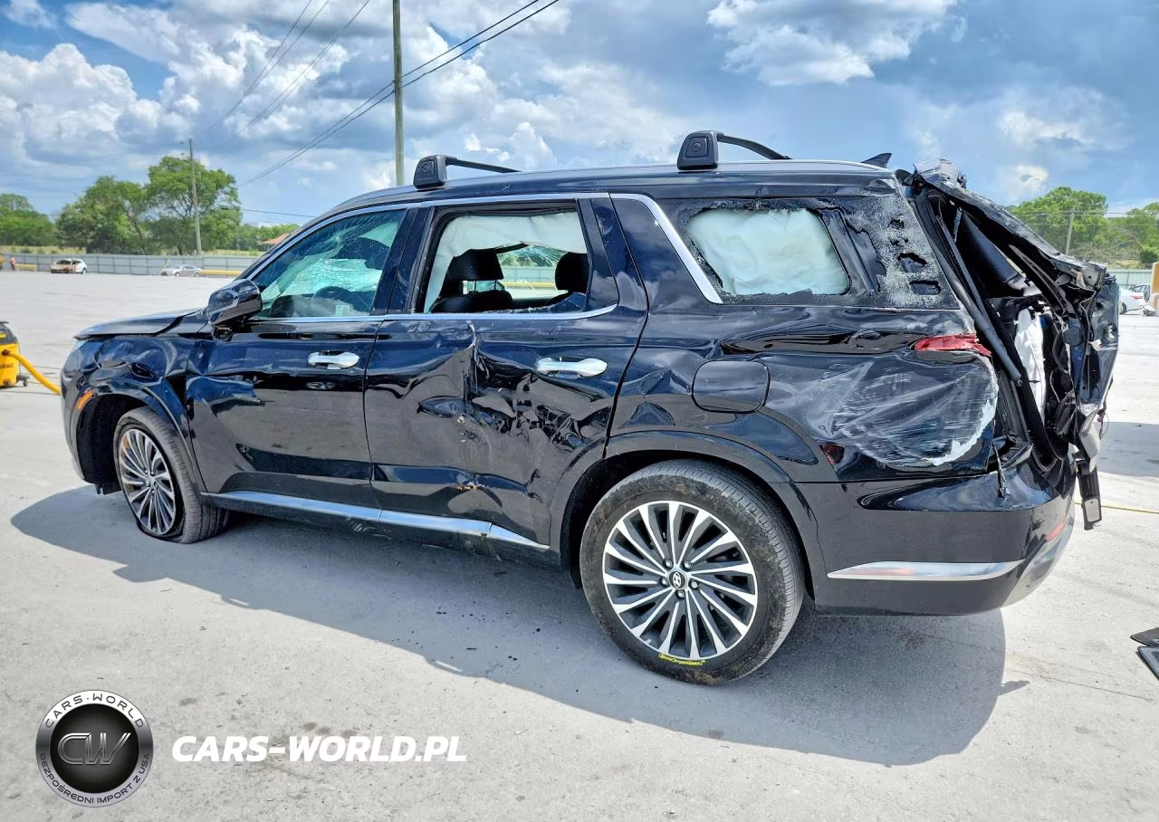 2024 Hyundai Palisade Calligraphy VIN:KM8R7DGE0RU695528 - 2