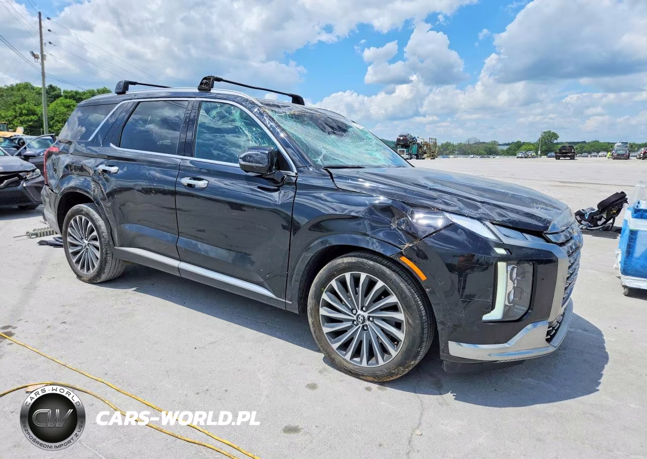 2024 Hyundai Palisade Calligraphy VIN:KM8R7DGE0RU695528 - 4