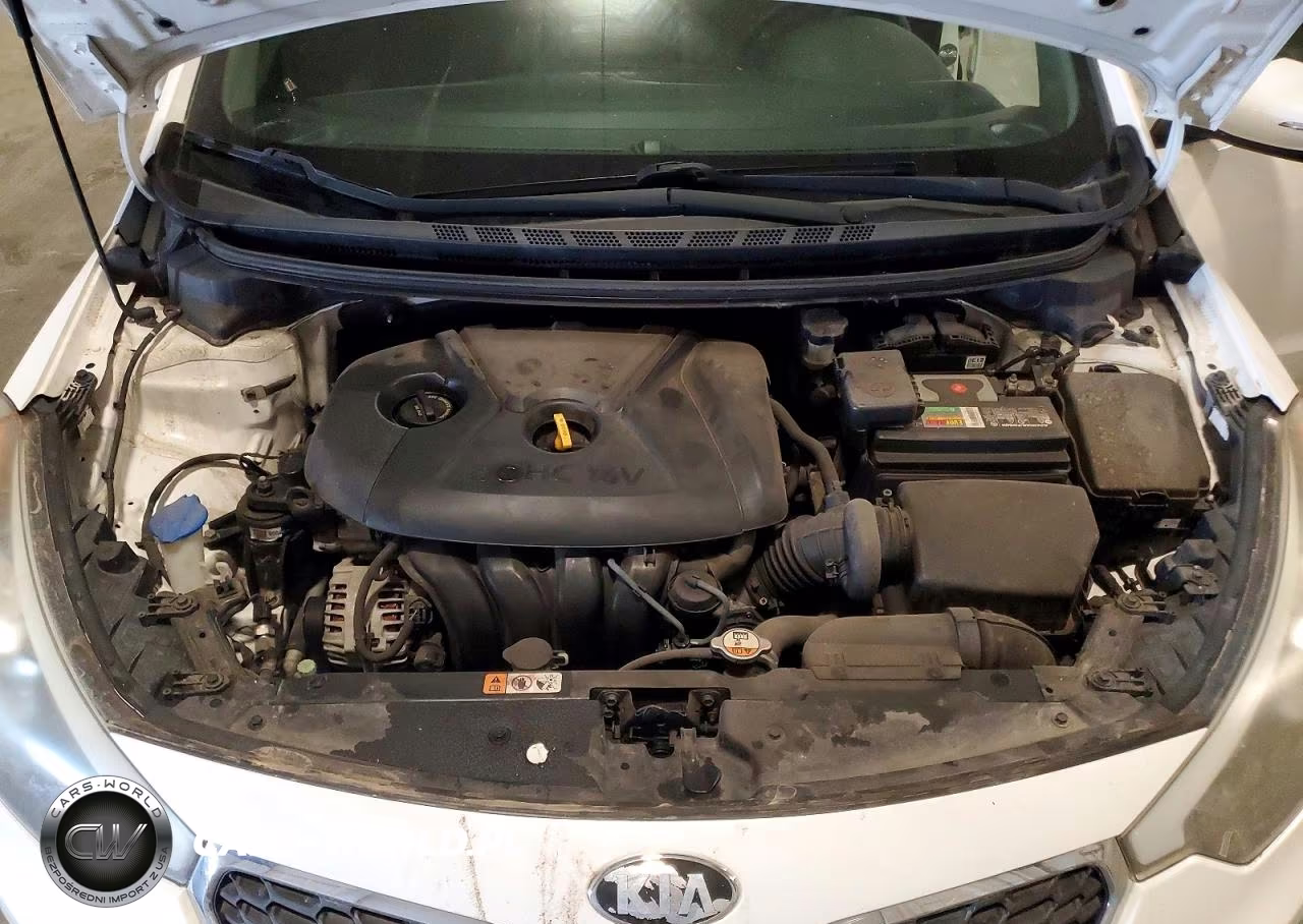 2015 Kia Forte Lx VIN:KNAFX4A62F5384663 - 11