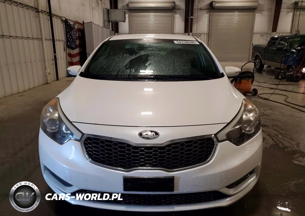 2015 Kia Forte Lx VIN:KNAFX4A62F5384663 - 5