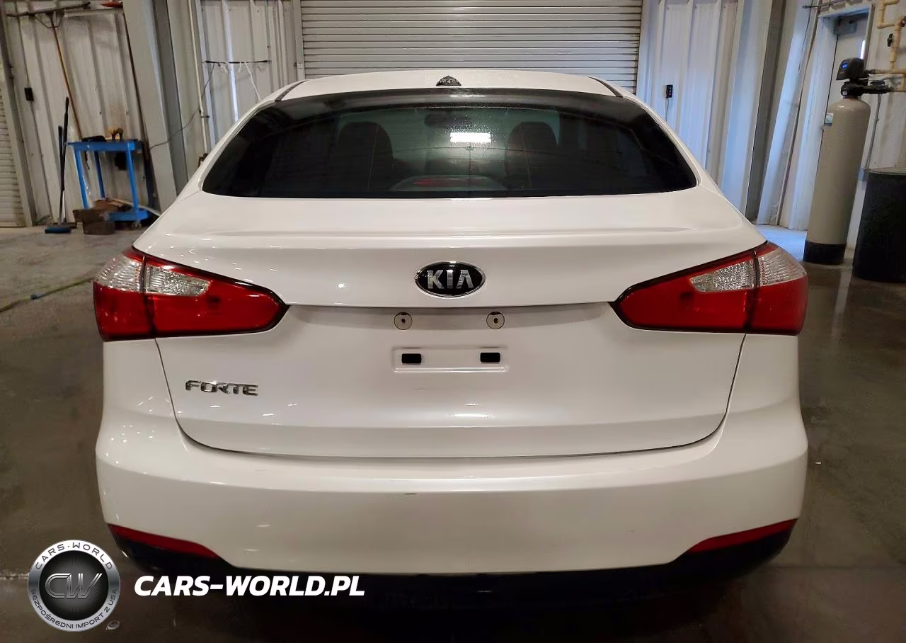 2015 Kia Forte Lx VIN:KNAFX4A62F5384663 - 6