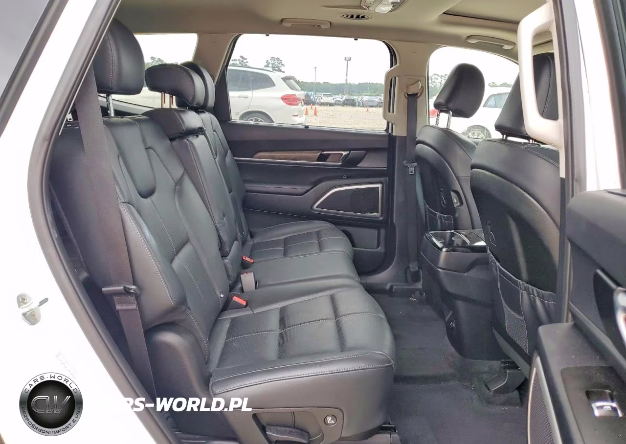2020 Kia Telluride Ex VIN:5XYP34HC5LG026913 - 11