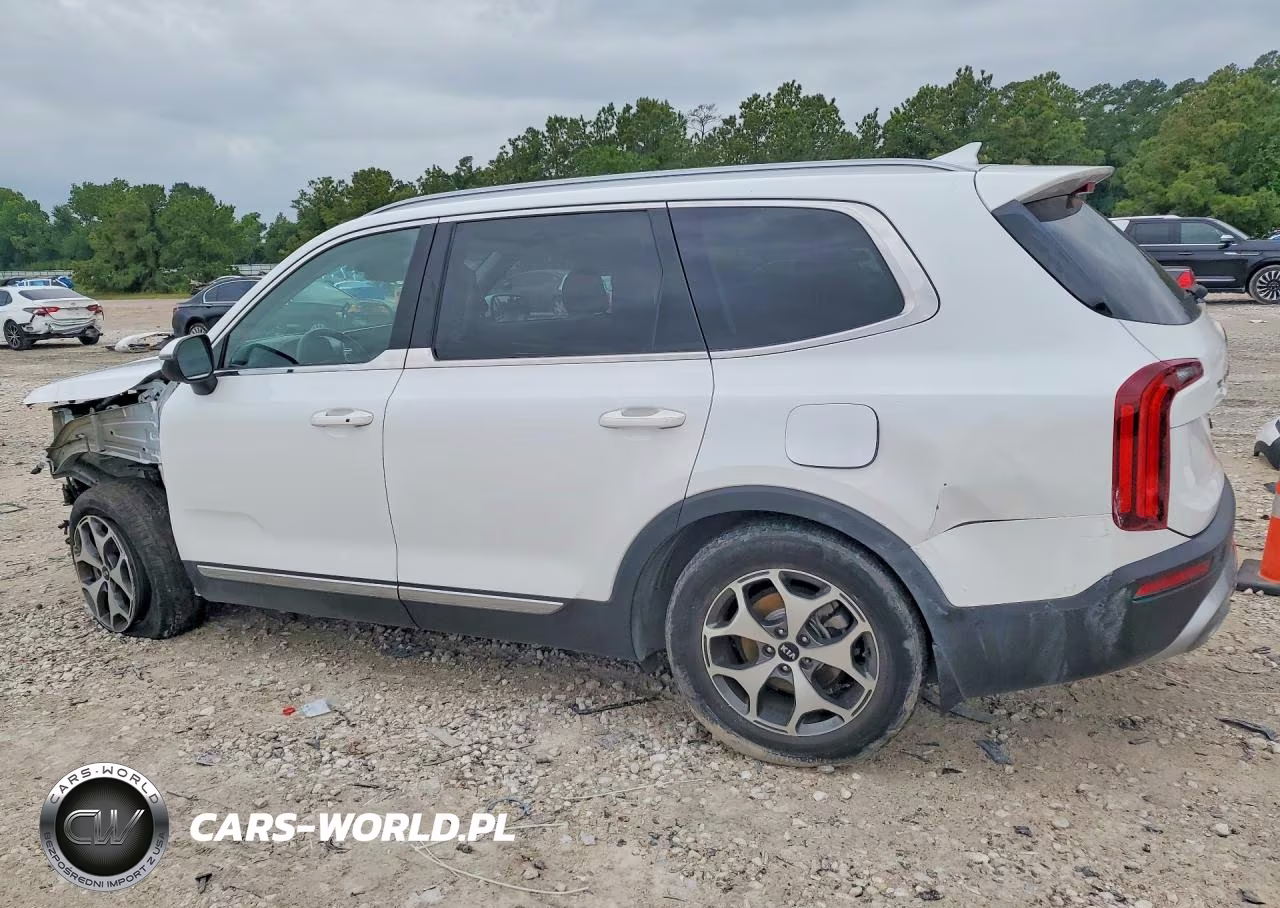 2020 Kia Telluride Ex VIN:5XYP34HC5LG026913 - 2
