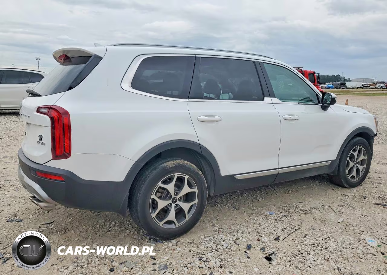 2020 Kia Telluride Ex VIN:5XYP34HC5LG026913 - 3