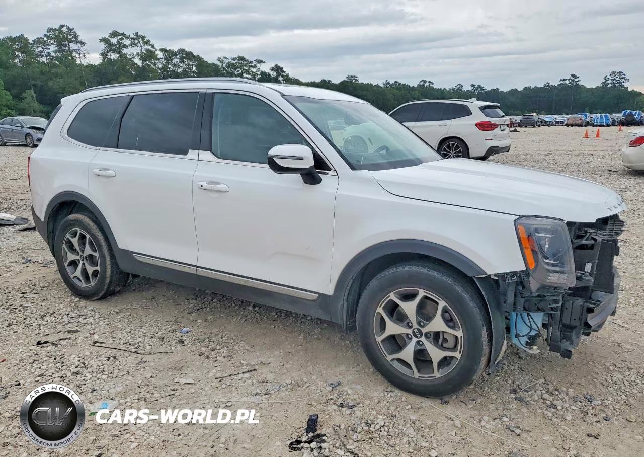 2020 Kia Telluride Ex VIN:5XYP34HC5LG026913 - 4