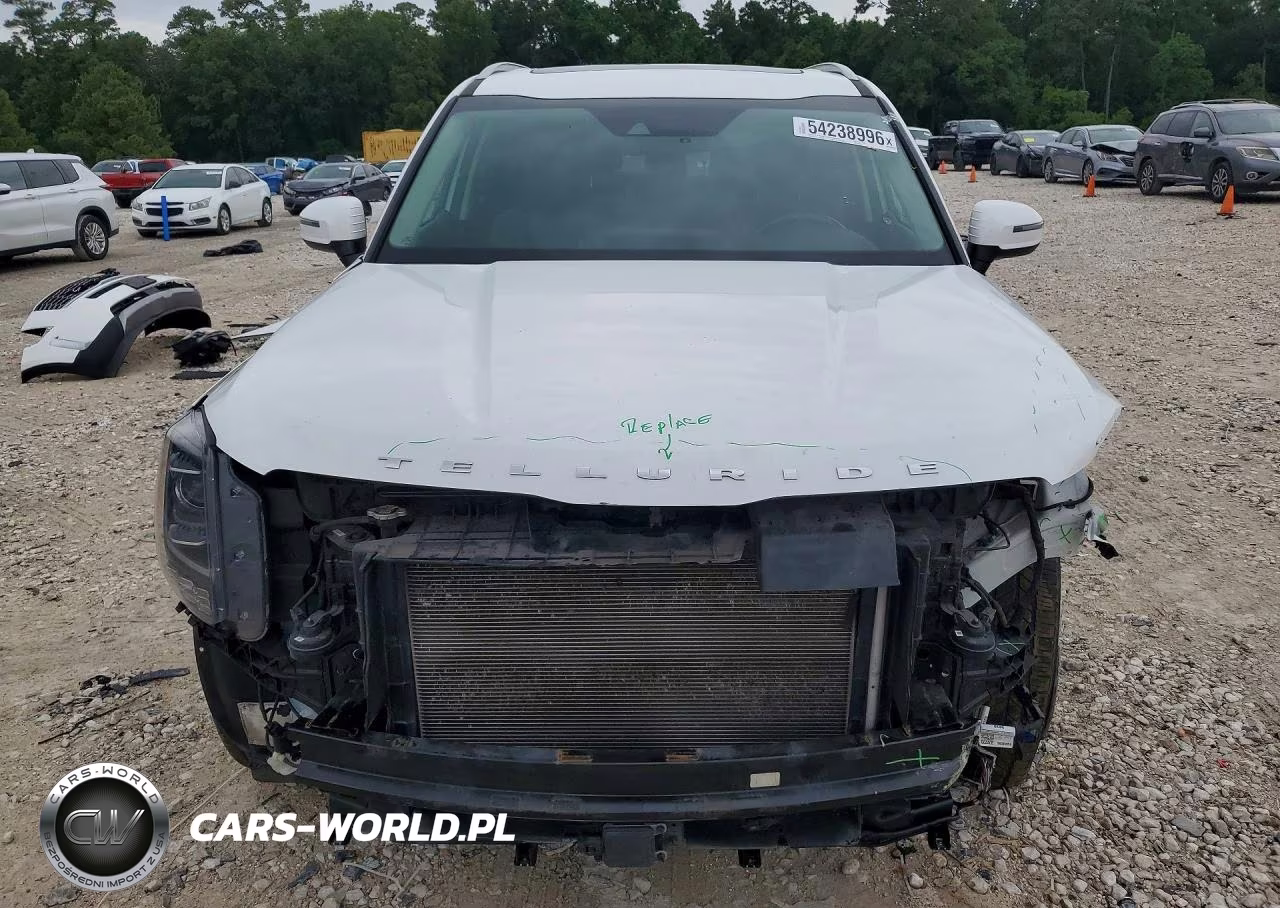 2020 Kia Telluride Ex VIN:5XYP34HC5LG026913 - 5