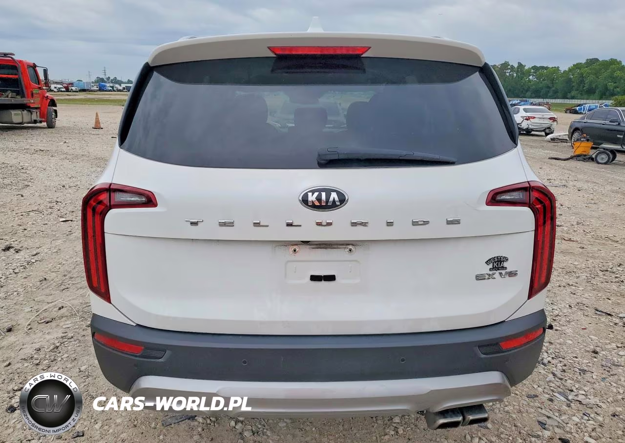 2020 Kia Telluride Ex VIN:5XYP34HC5LG026913 - 6