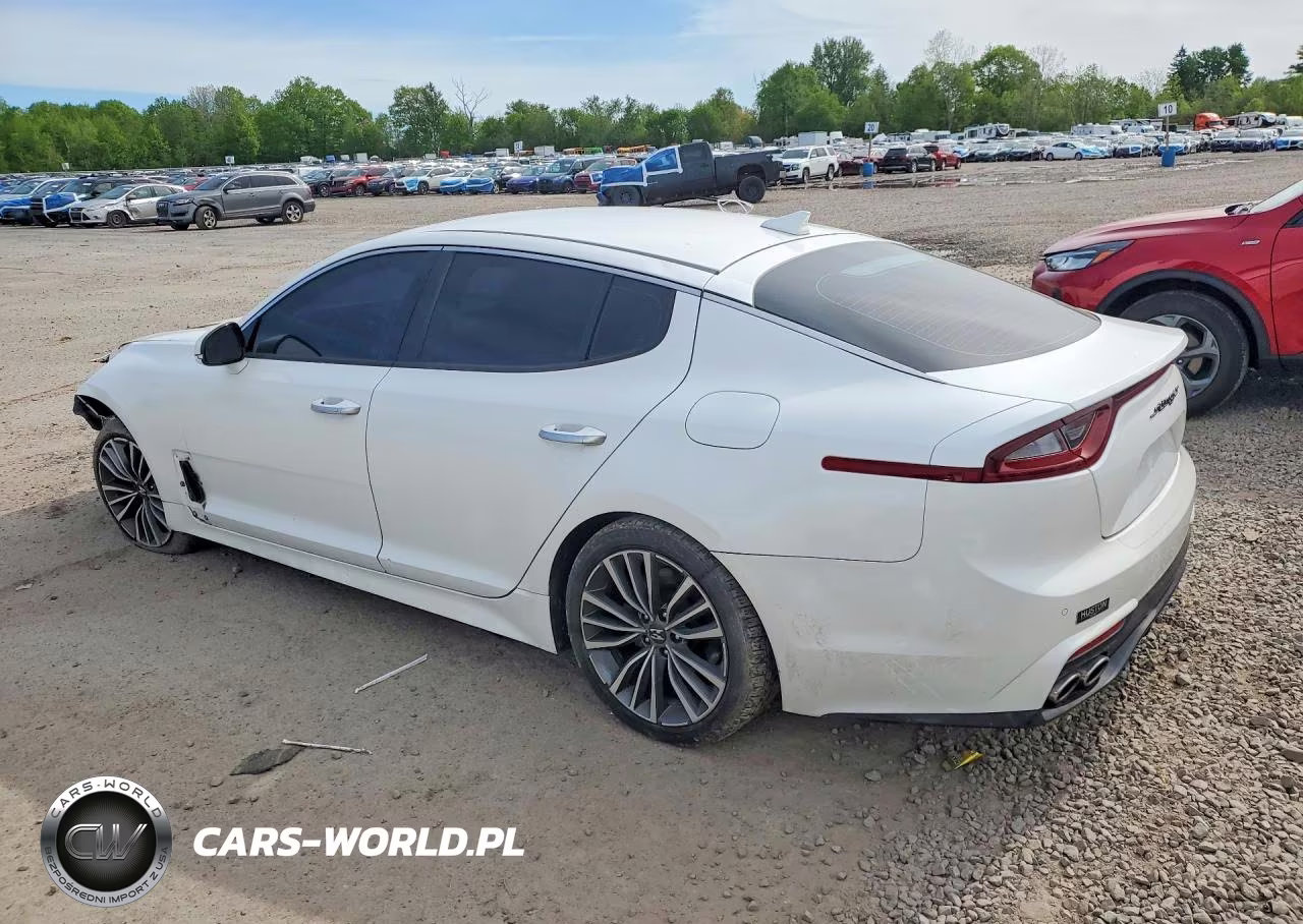 2019 Kia Stinger Base VIN:KNAE15LA9K6048663 - 2