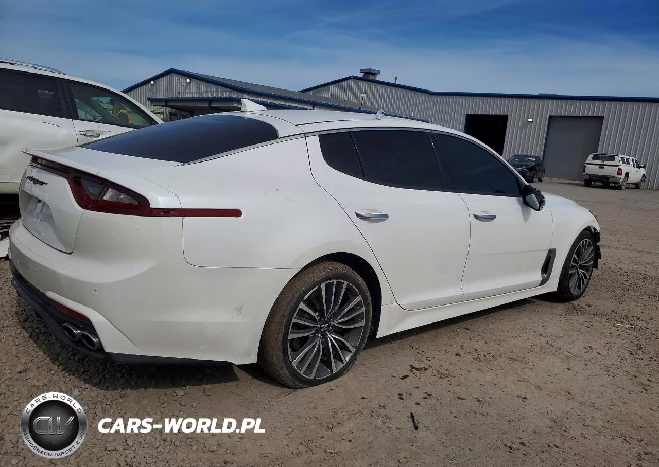 2019 Kia Stinger Base VIN:KNAE15LA9K6048663 - 3