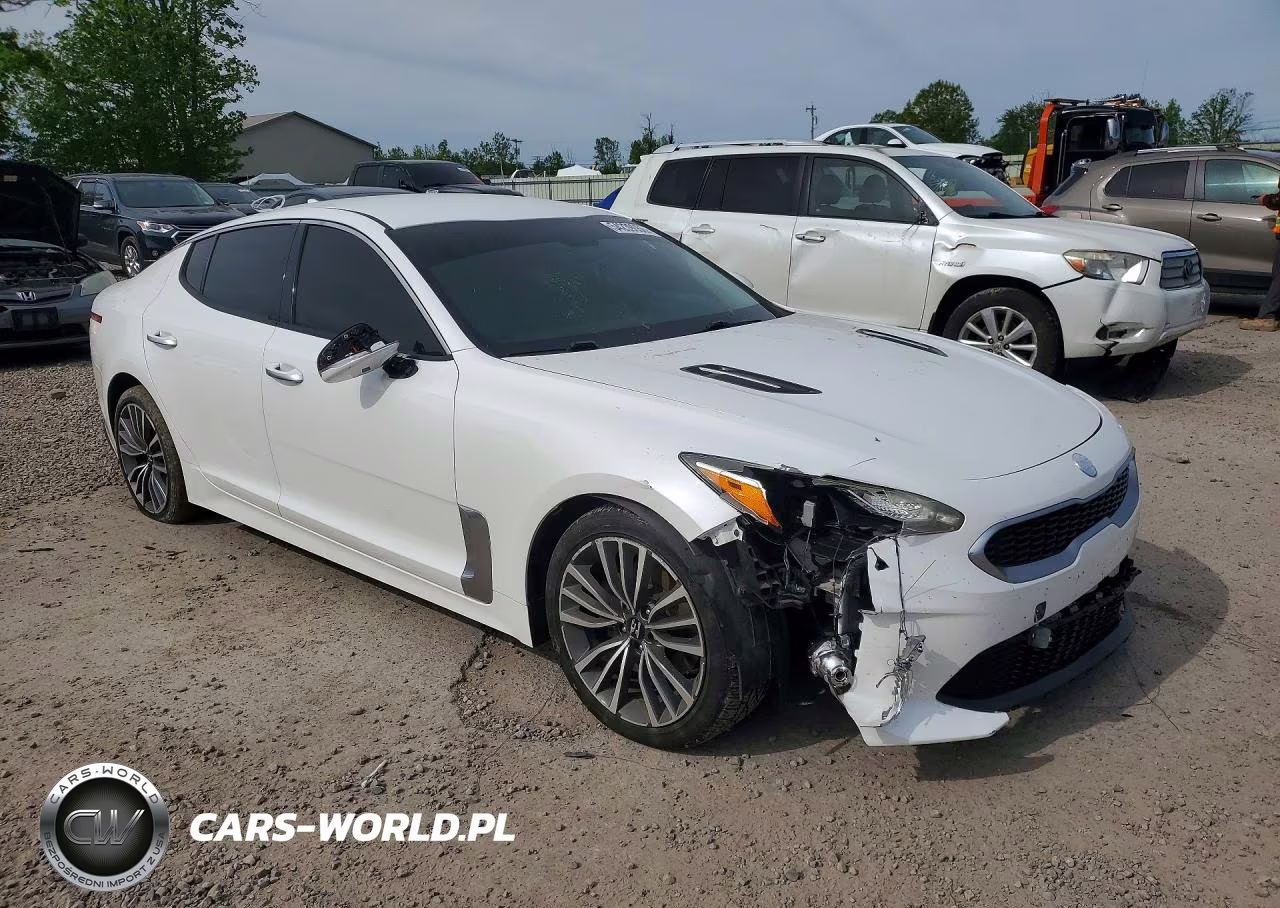 2019 Kia Stinger Base VIN:KNAE15LA9K6048663 - 4