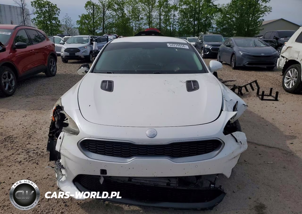 2019 Kia Stinger Base VIN:KNAE15LA9K6048663 - 5
