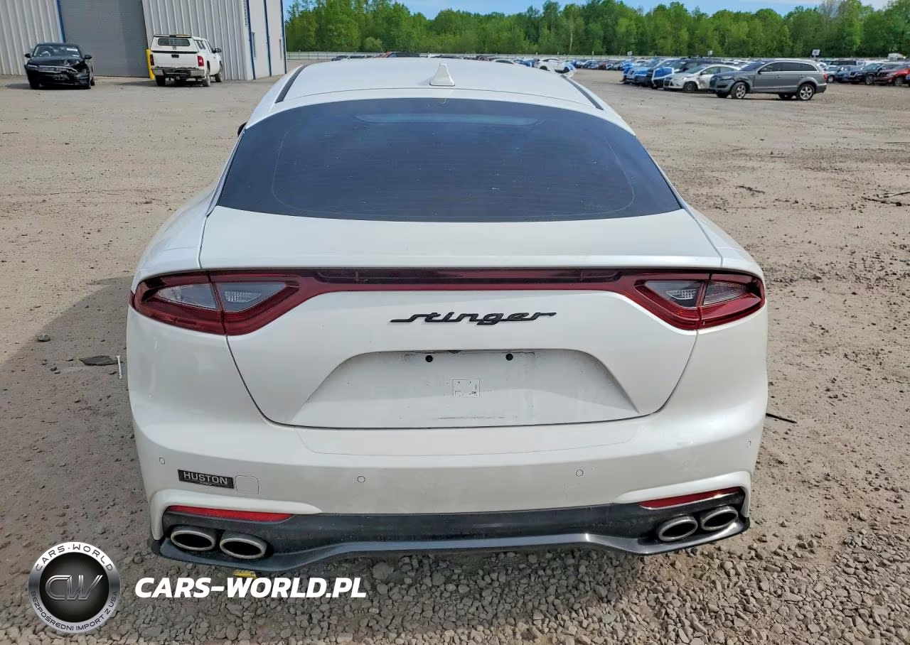 2019 Kia Stinger Base VIN:KNAE15LA9K6048663 - 6