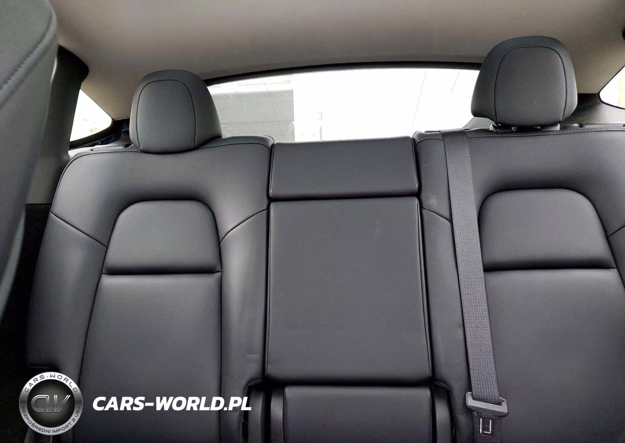 2023 Tesla Model Y VIN:7SAYGDEE8PF704519 - 10