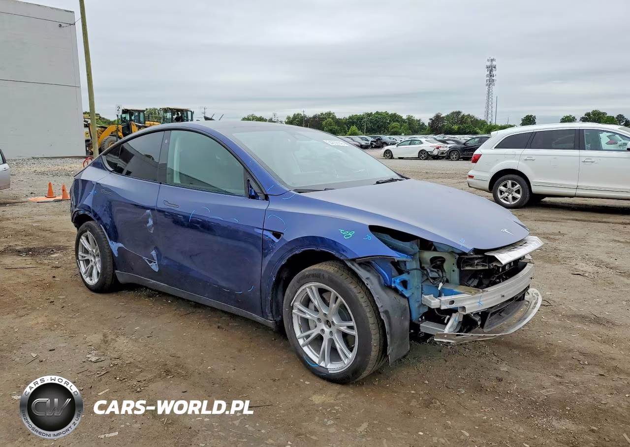 2023 Tesla Model Y VIN:7SAYGDEE8PF704519 - 4