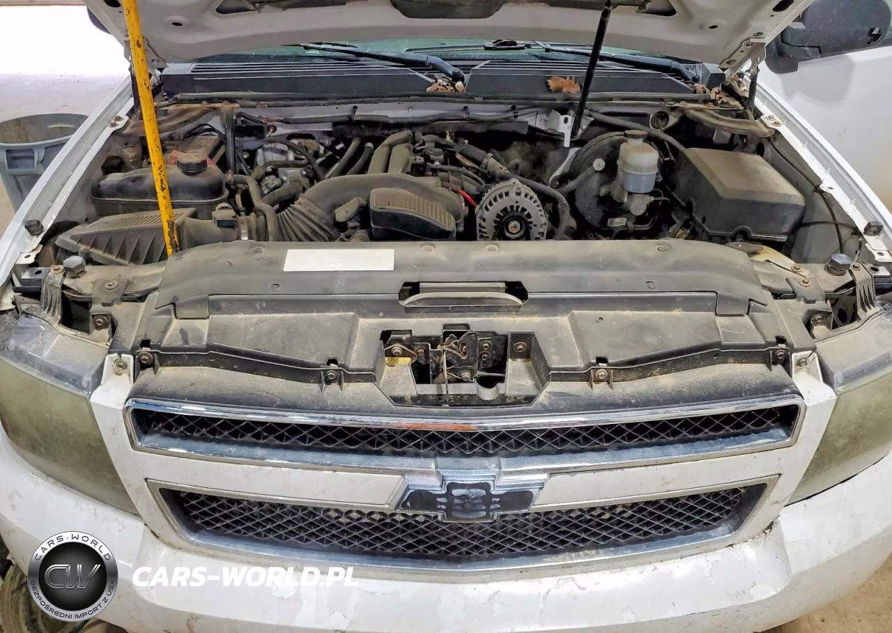 2009 Chevrolet Tahoe K1500 Ls VIN:1GNFK13019R214274 - 12