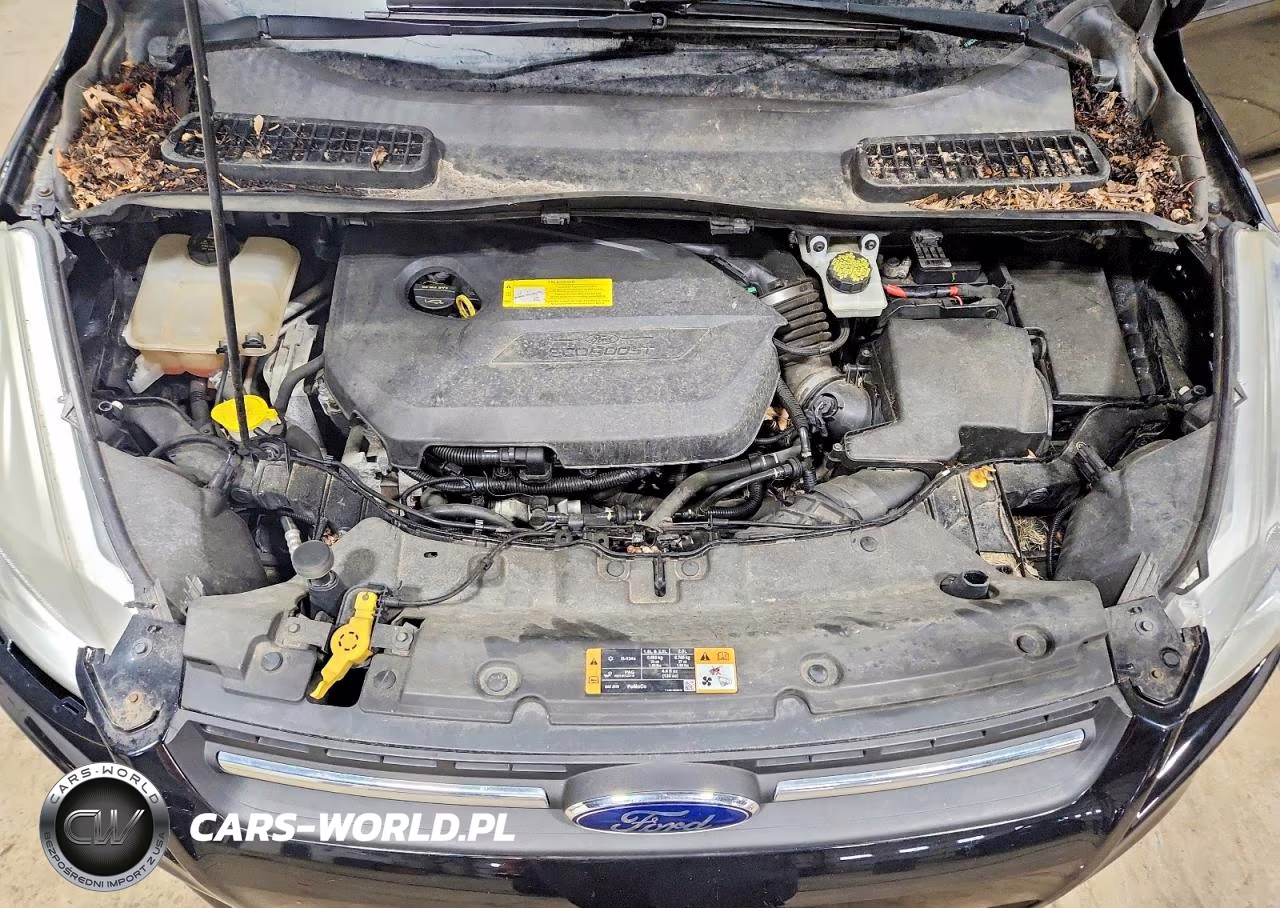 2016 Ford Escape Se VIN:1FMCU0GX3GUB43544 - 12