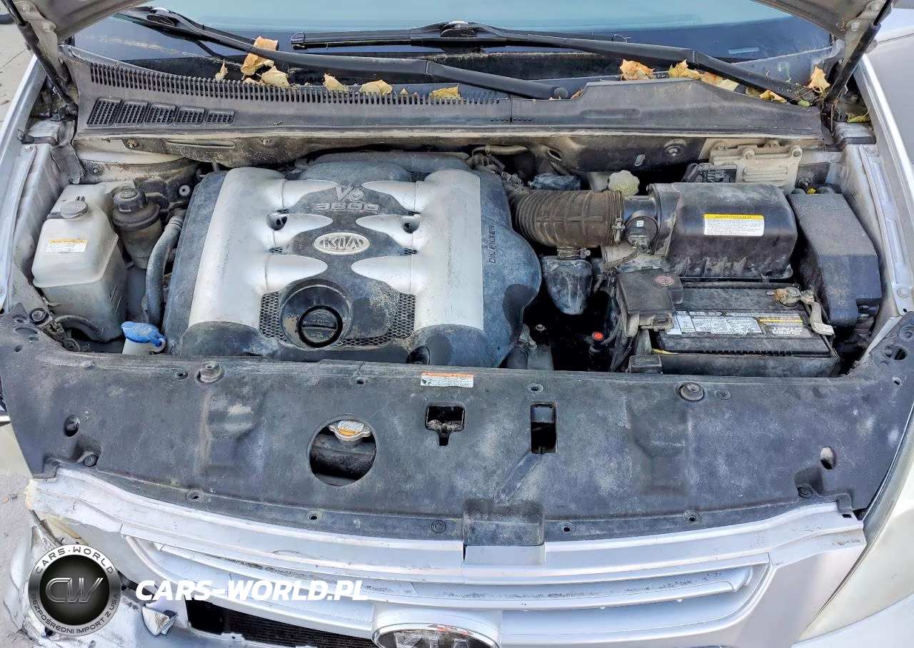 2006 Kia Sedona Lx VIN:KNDMB233066039559 - 12