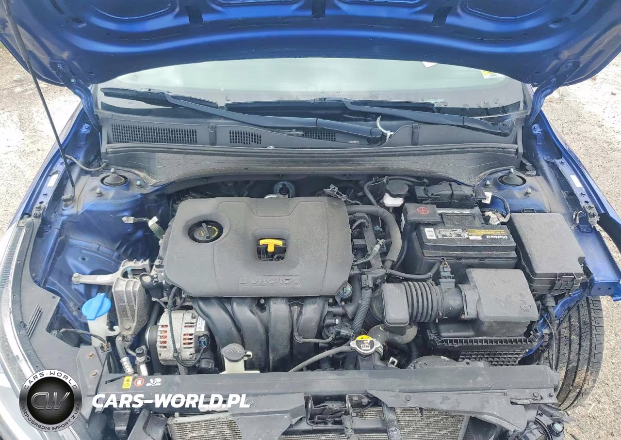 2019 Kia Forte Lxs VIN:3KPF24ADXKE058429 - 11