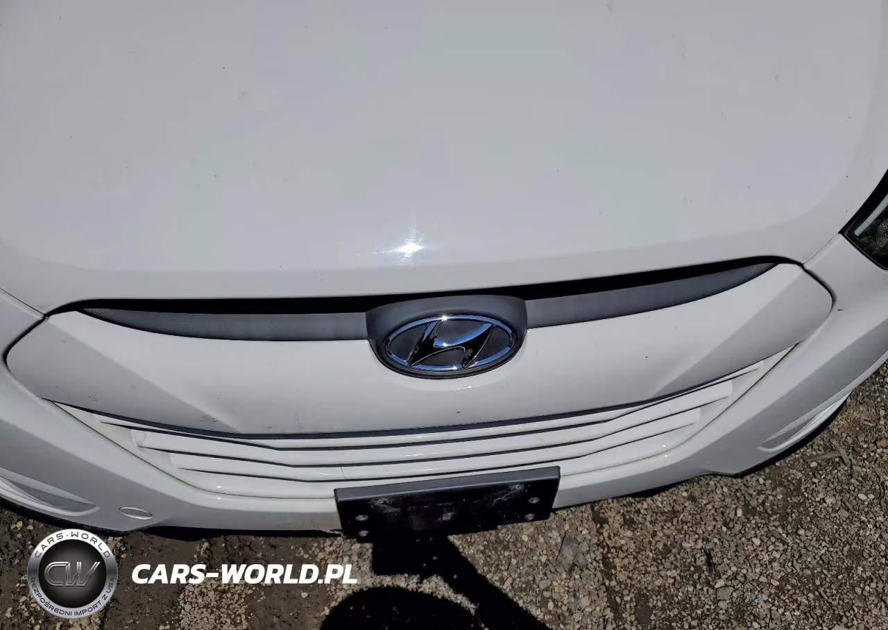 2015 Hyundai Tucson Gls VIN:KM8JTCAF4FU061011 - 11