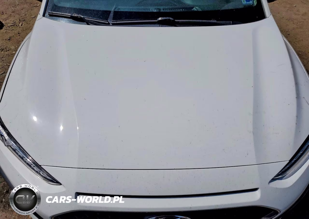 2021 Hyundai Kona Limited VIN:KM8K3CA55MU657317 - 12