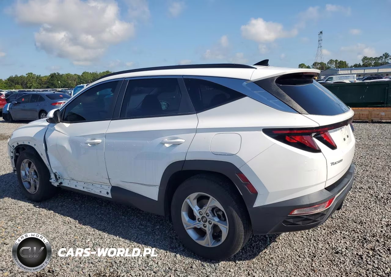 2024 Hyundai Tucson Sel VIN:5NMJB3DE3RH302935 - 2