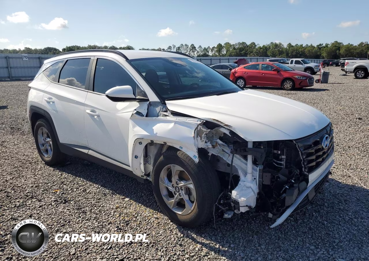 2024 Hyundai Tucson Sel VIN:5NMJB3DE3RH302935 - 4