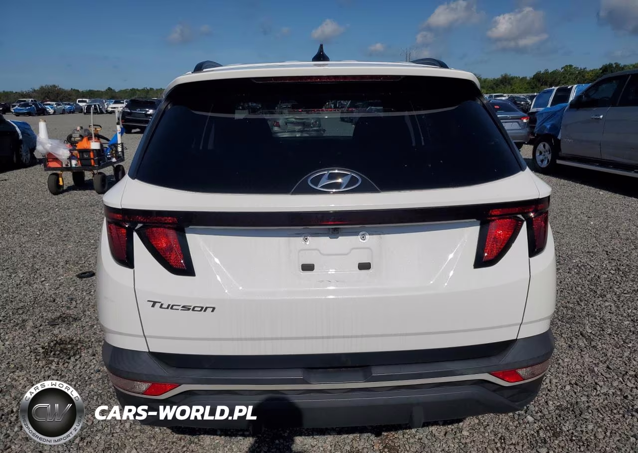 2024 Hyundai Tucson Sel VIN:5NMJB3DE3RH302935 - 6