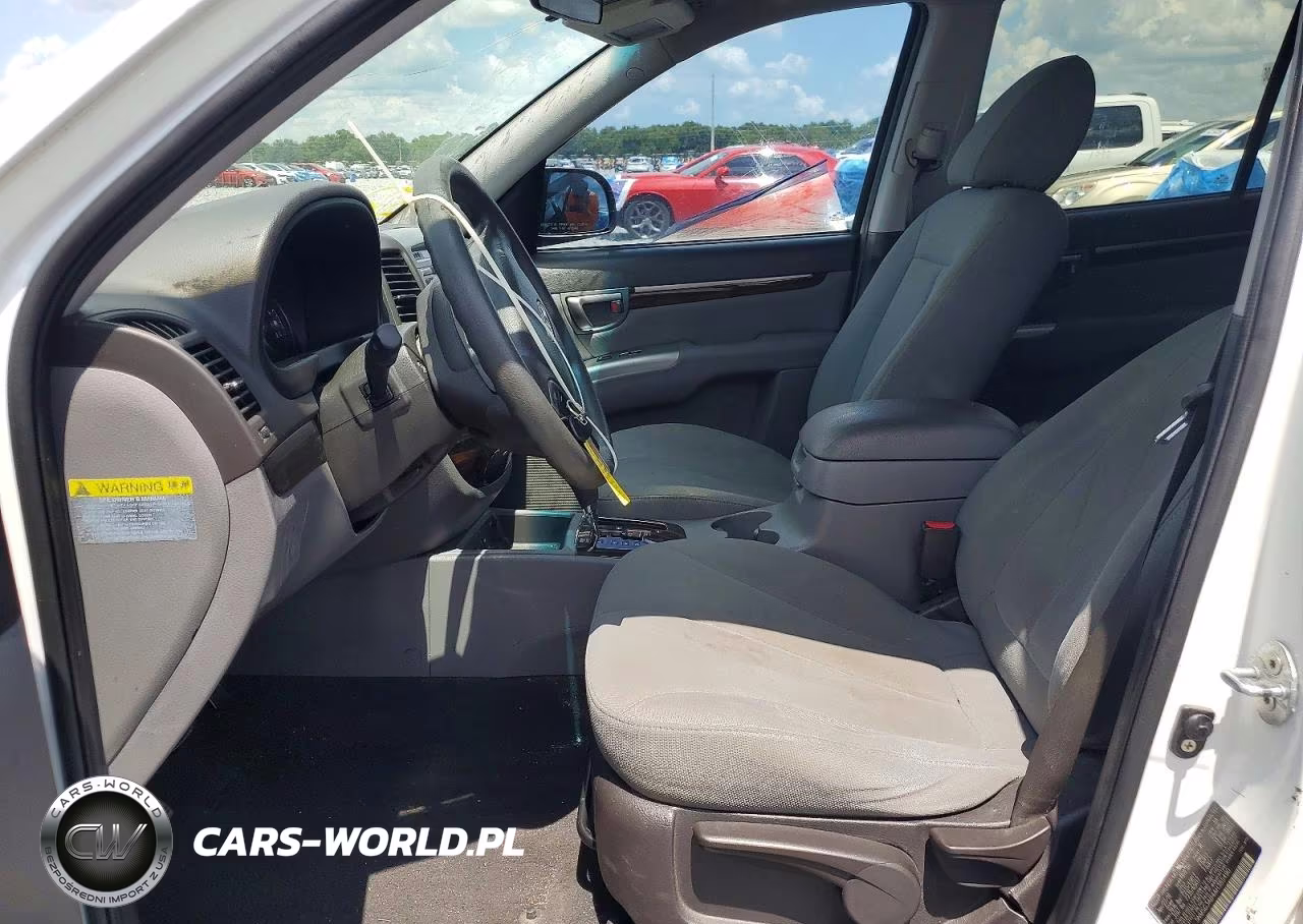 2010 Hyundai Santa Fe Gls VIN:5NMSG3AB4AH385490 - 7