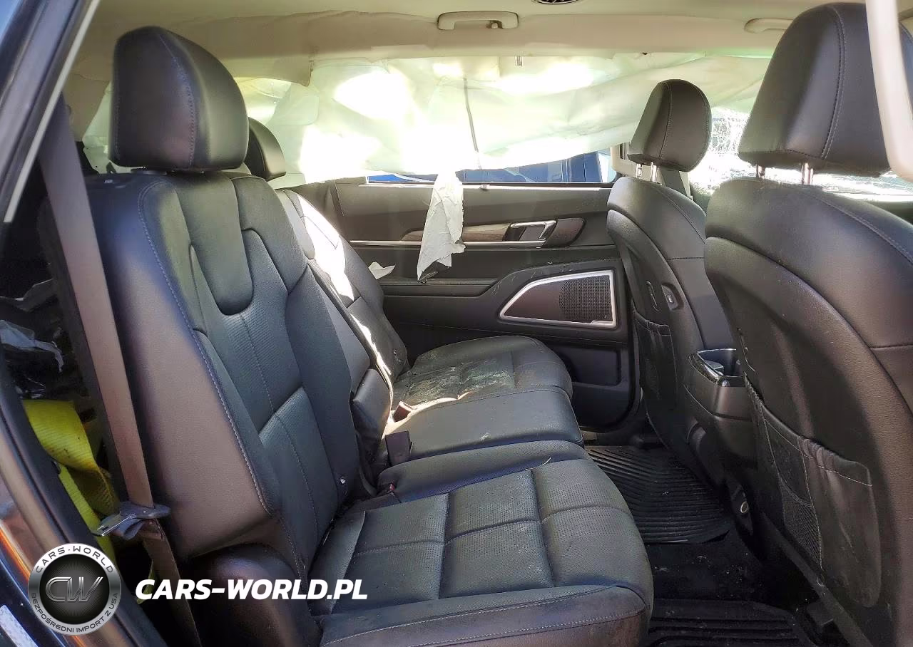 2020 Kia Telluride Ex VIN:5XYP3DHC8LG002833 - 11