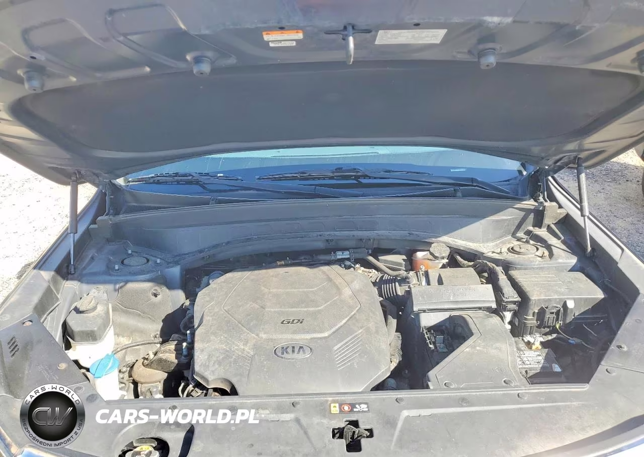 2020 Kia Telluride Ex VIN:5XYP3DHC8LG002833 - 12