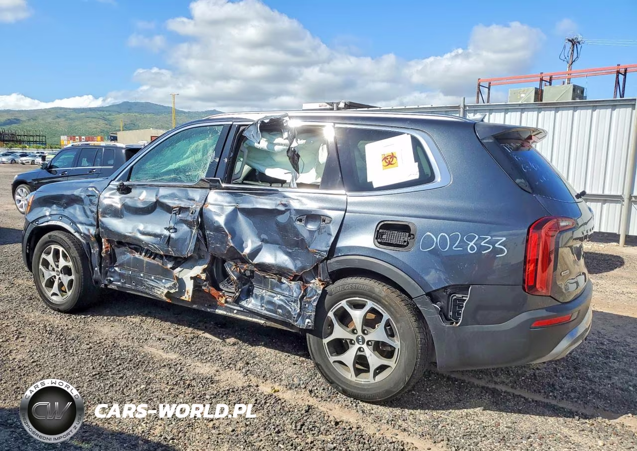 2020 Kia Telluride Ex VIN:5XYP3DHC8LG002833 - 2