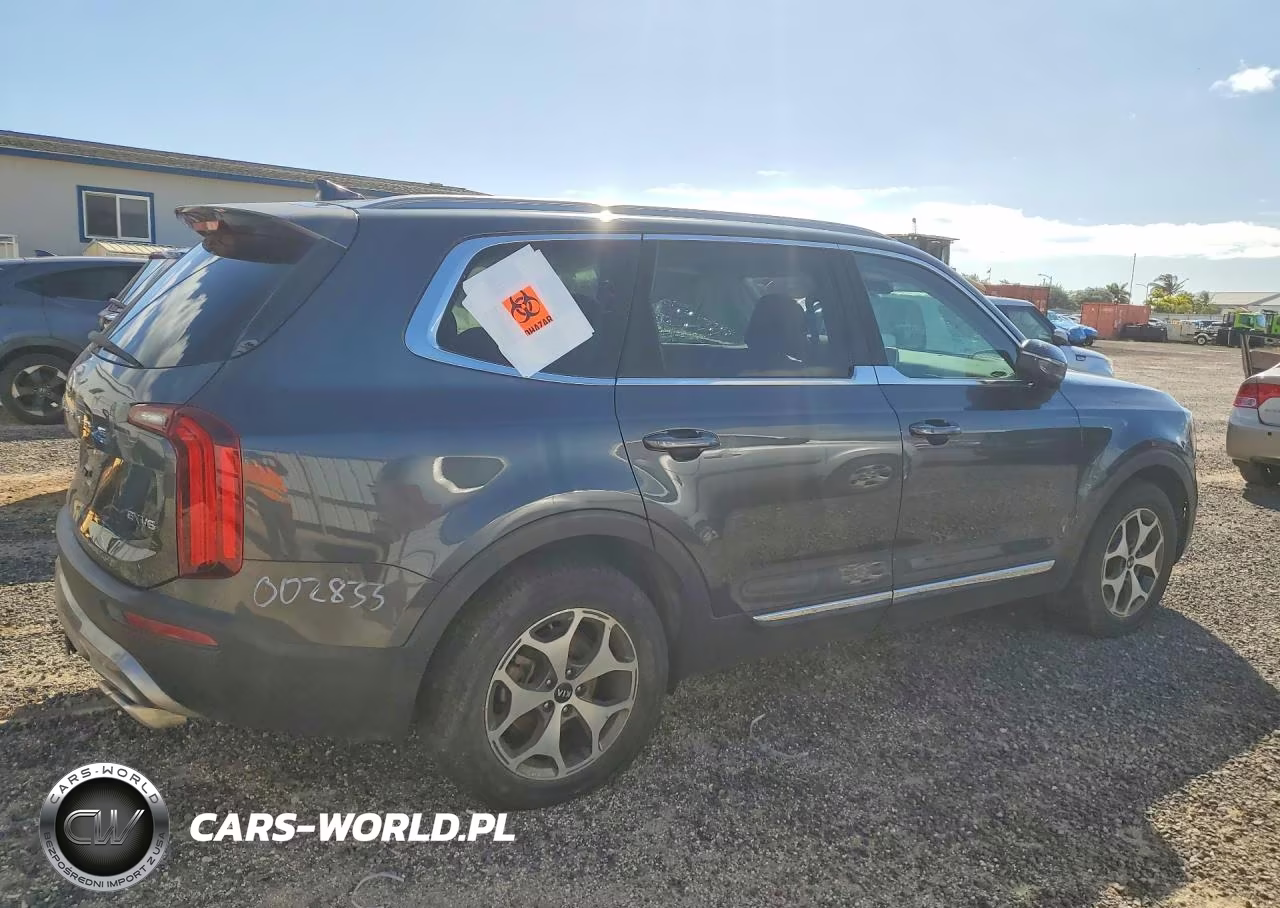 2020 Kia Telluride Ex VIN:5XYP3DHC8LG002833 - 3
