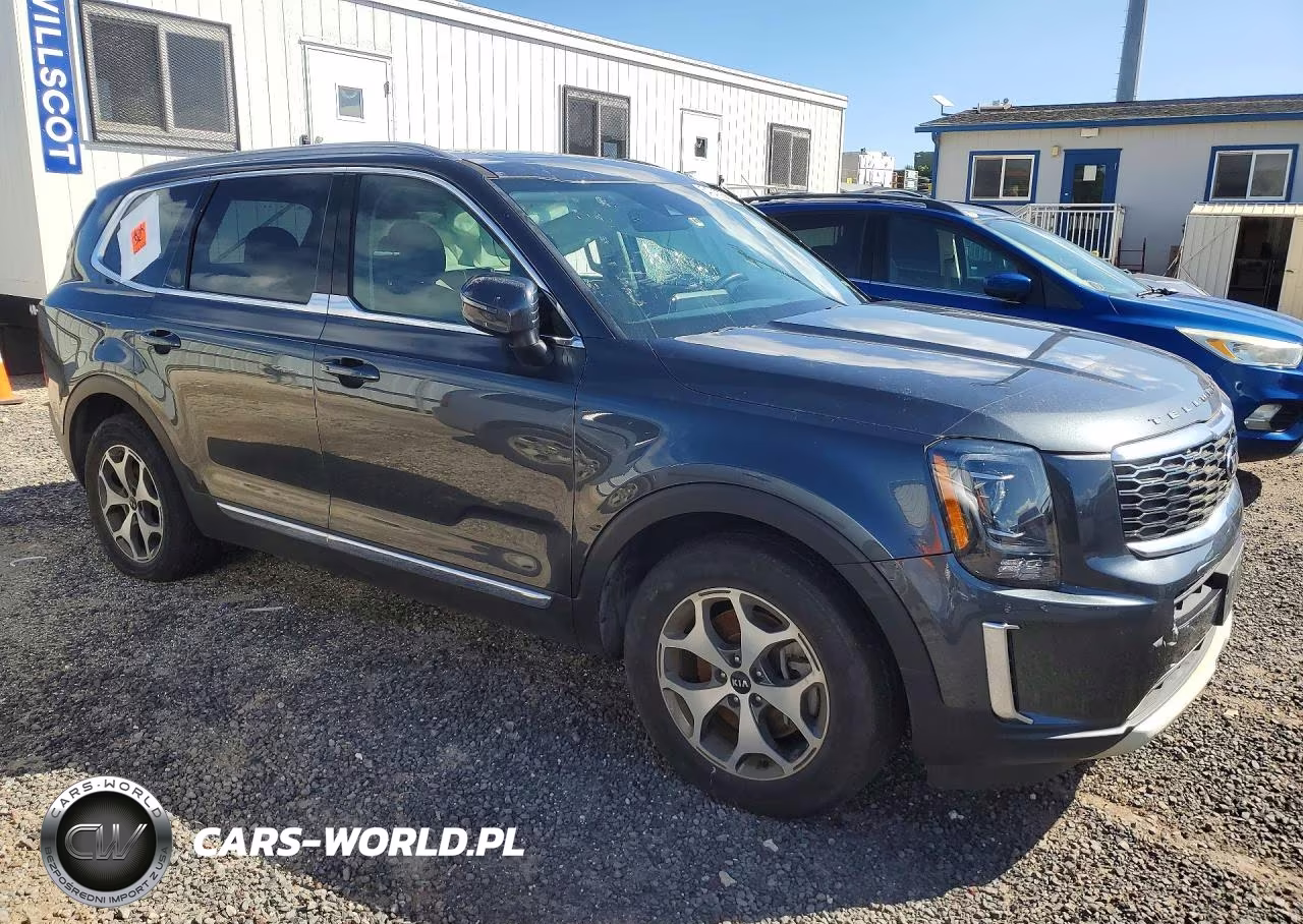 2020 Kia Telluride Ex VIN:5XYP3DHC8LG002833 - 4