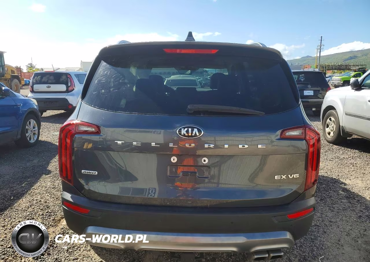 2020 Kia Telluride Ex VIN:5XYP3DHC8LG002833 - 6