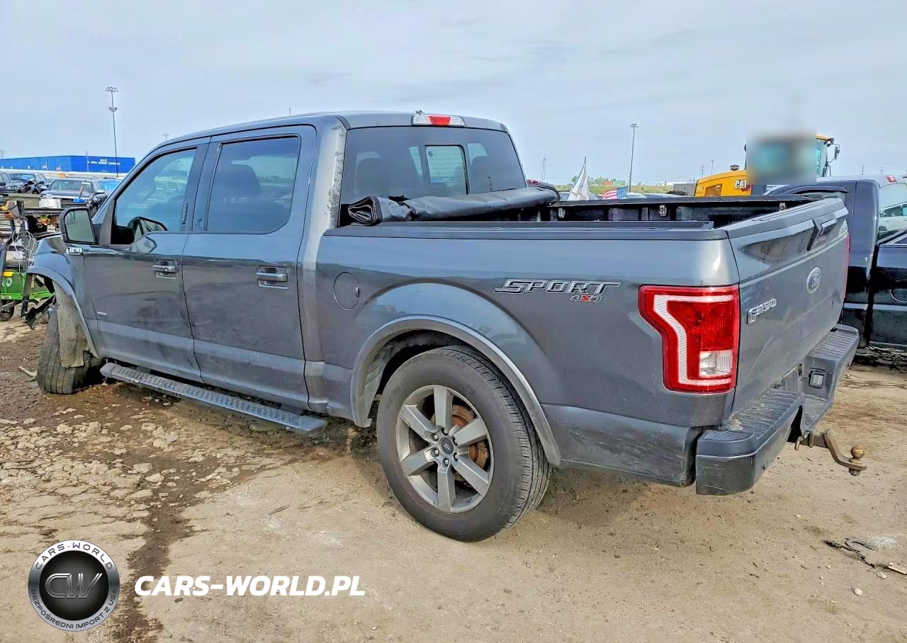 2016 Ford F150 Supercrew VIN:1FTEW1EP3GFB69310 - 2