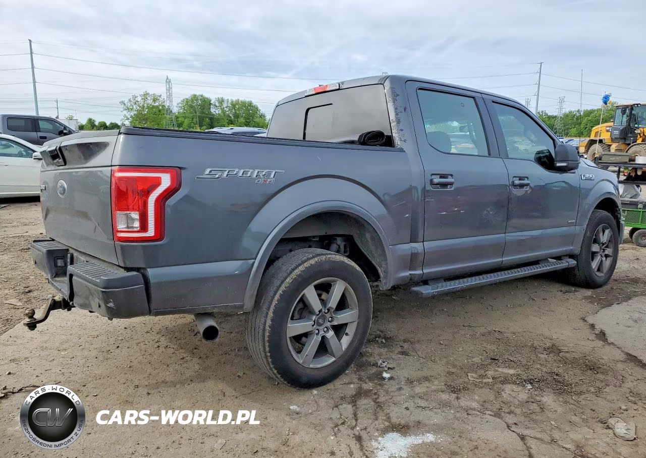 2016 Ford F150 Supercrew VIN:1FTEW1EP3GFB69310 - 3