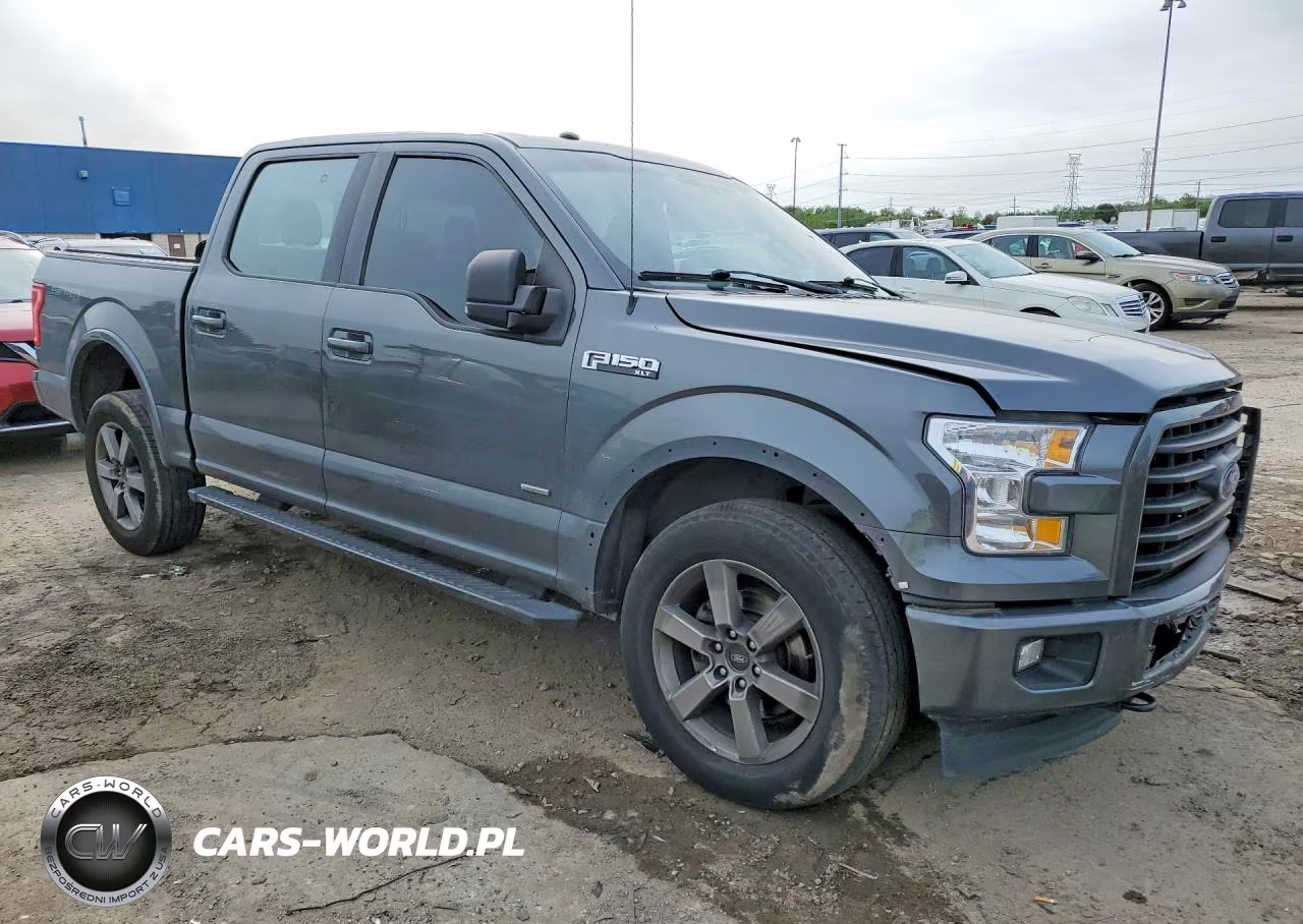 2016 Ford F150 Supercrew VIN:1FTEW1EP3GFB69310 - 4