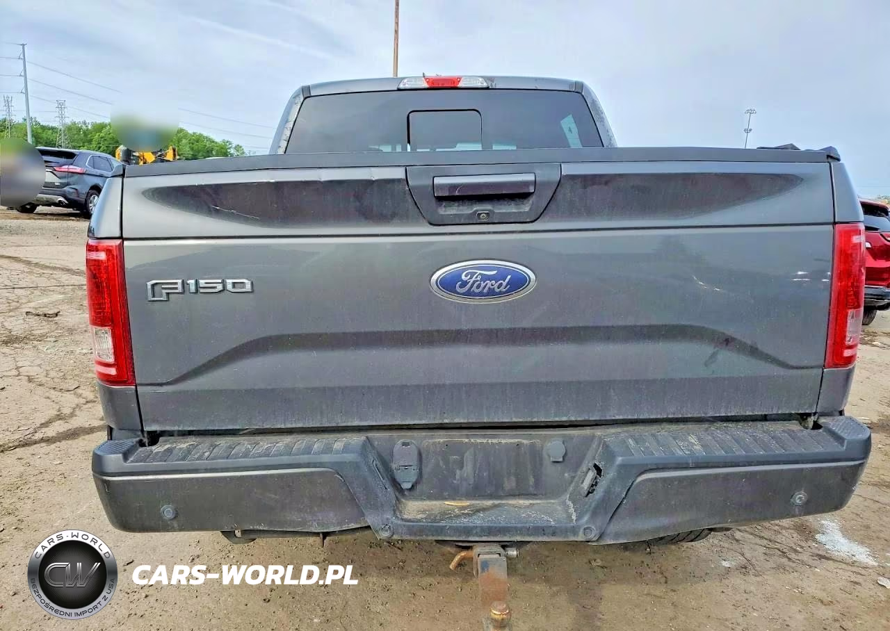 2016 Ford F150 Supercrew VIN:1FTEW1EP3GFB69310 - 6