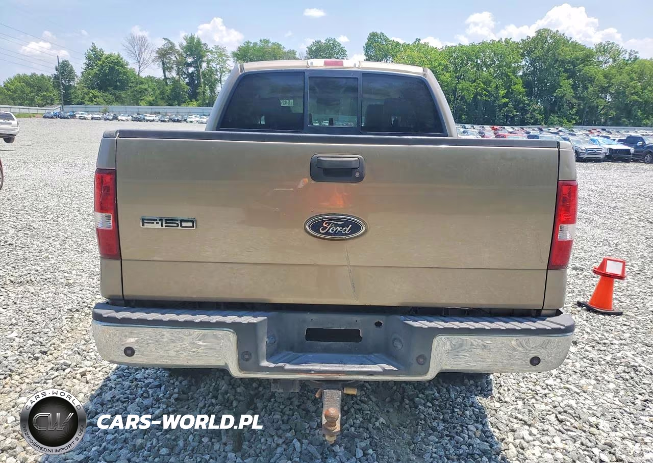 2004 Ford F150 Supercrew VIN:1FTPW14504KD16890 - 6