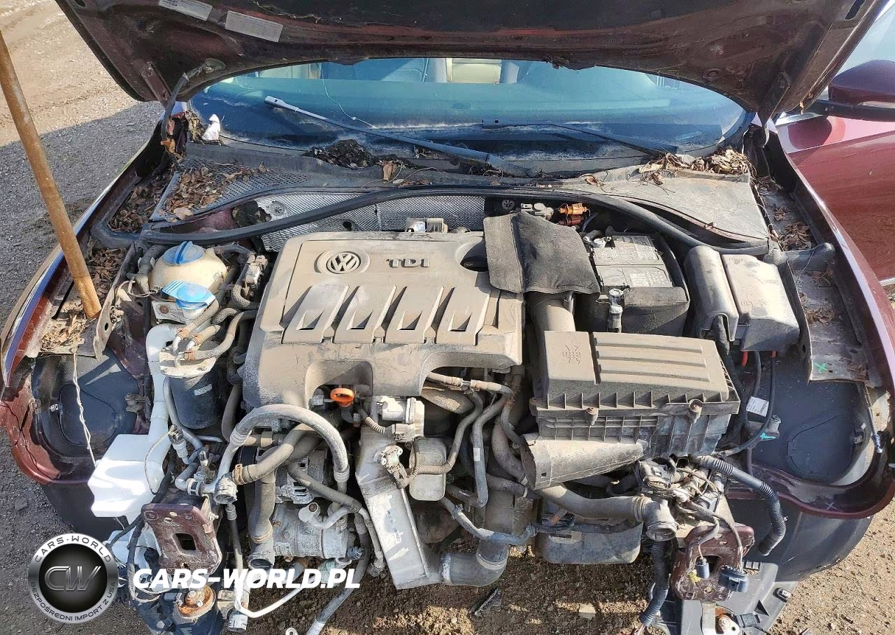 2012 Volkswagen Passat Sel VIN:1VWCN7A34CC049525 - 11