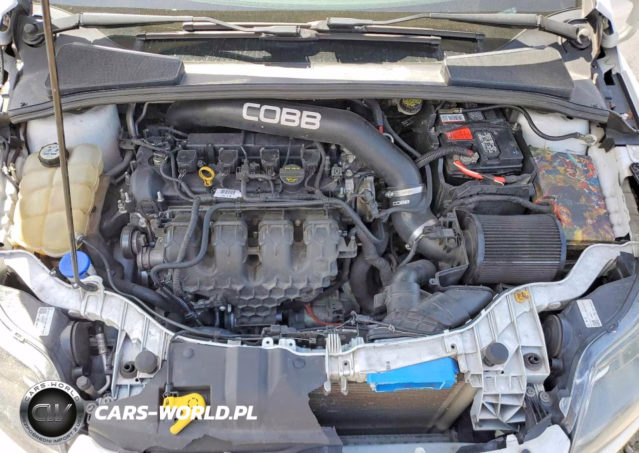 2013 Ford Focus St VIN:1FADP3L99DL172756 - 11