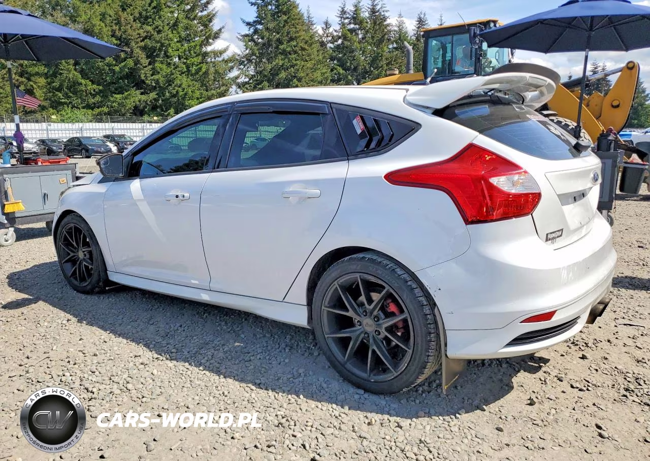 2013 Ford Focus St VIN:1FADP3L99DL172756 - 2