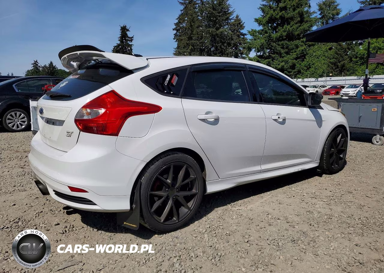 2013 Ford Focus St VIN:1FADP3L99DL172756 - 3