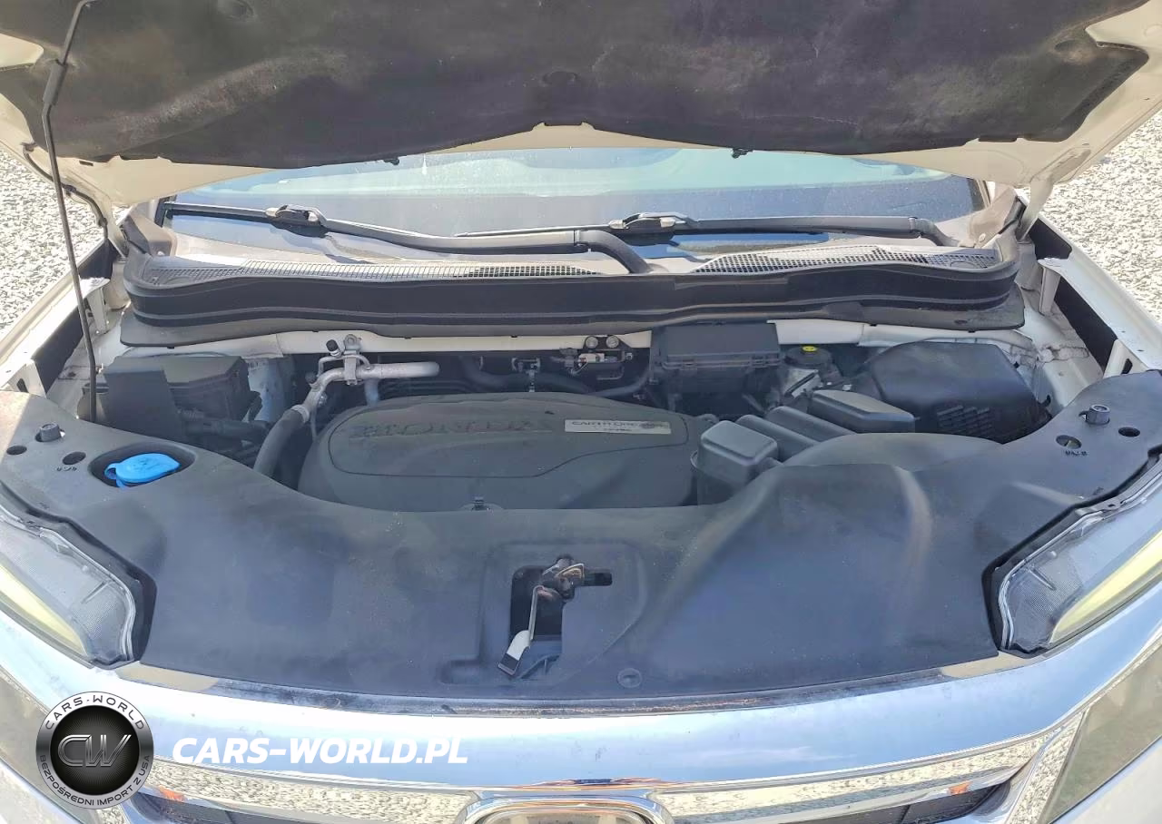 2019 Honda Pilot Exl VIN:5FNYF5H50KB006626 - 12