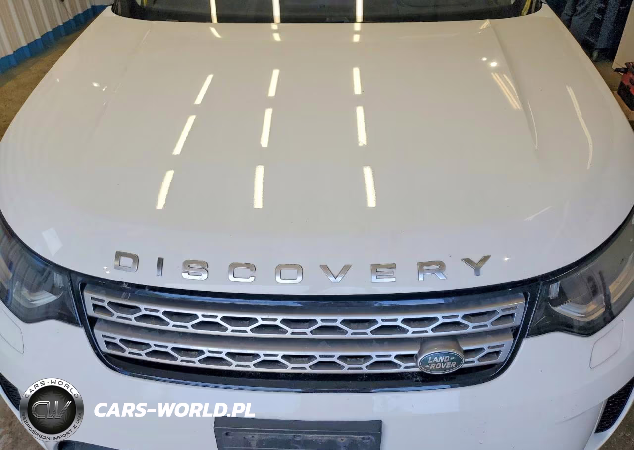 2018 Land Rover Discovery Hse Luxury VIN:SALRT2RV3JA048539 - 12