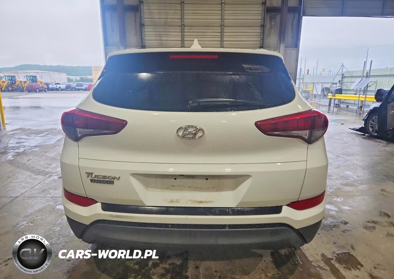 2017 Hyundai Tucson Se Plus VIN:KM8J33A45HU500296 - 6