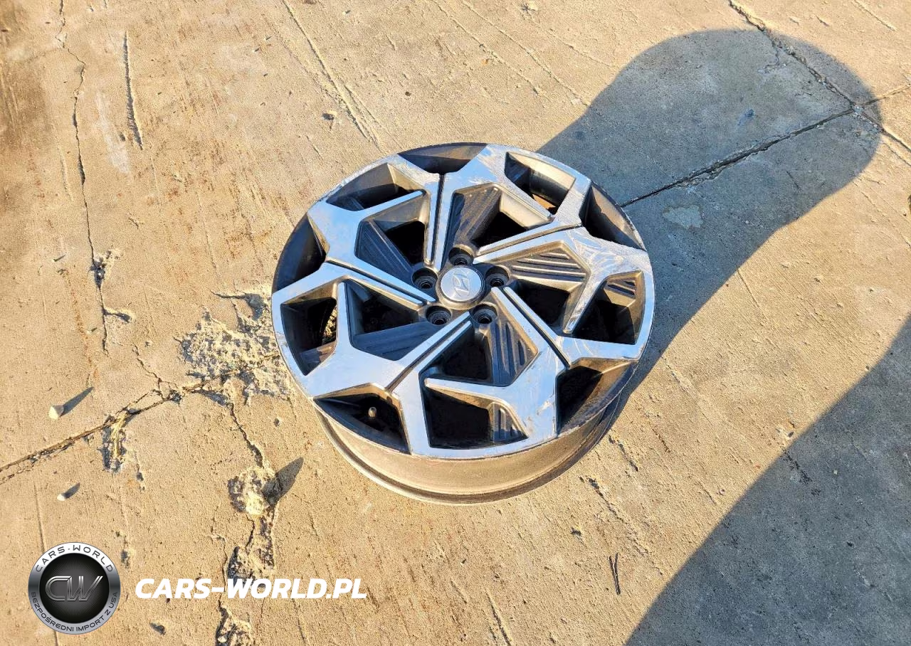 2021 Hyundai Palisade Calligraphy VIN:KM8R74HEXMU273919 - 13