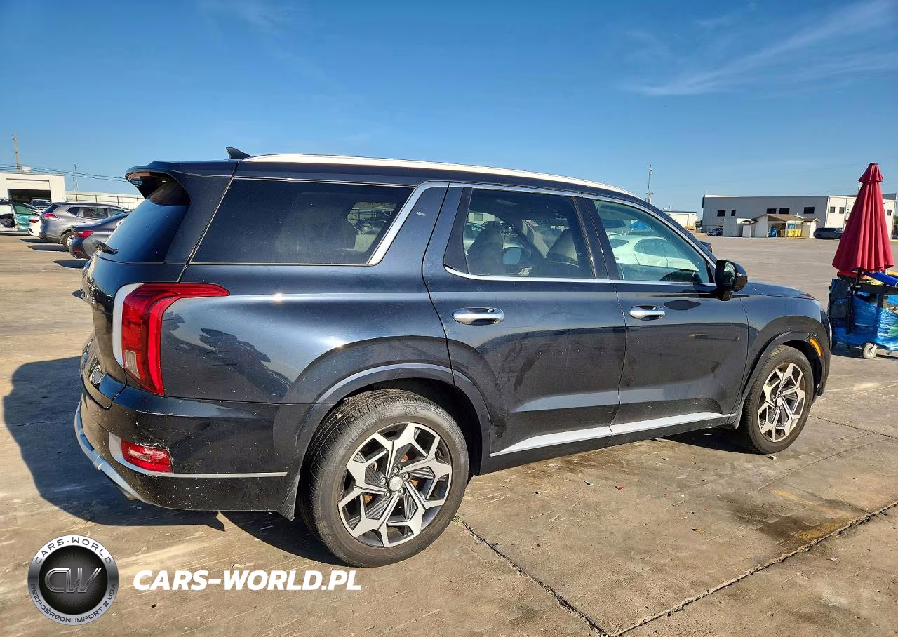 2021 Hyundai Palisade Calligraphy VIN:KM8R74HEXMU273919 - 3